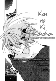 Cover for Kon no Ki Konoha