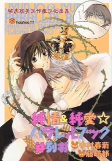 Capa de Junjou Romantica dj - Junjou Junai ParaBook