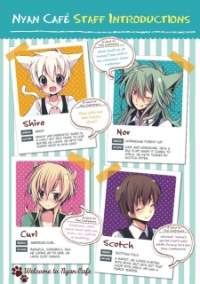 Imagen de Nyan Cafe e Youkoso!
