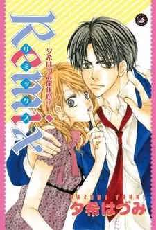 Cover of Remix