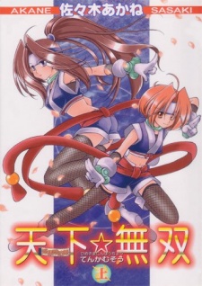 Imagen de Himesama Ninpouchou: Tenka☆Musou
