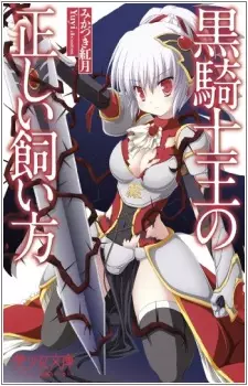 Kurokishi Ou no Tadashi Kaikata