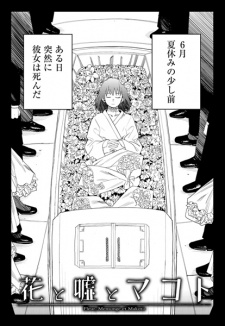 Imagen de Hana to Uso to Makoto