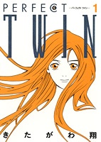 Cover for Perfect Twin