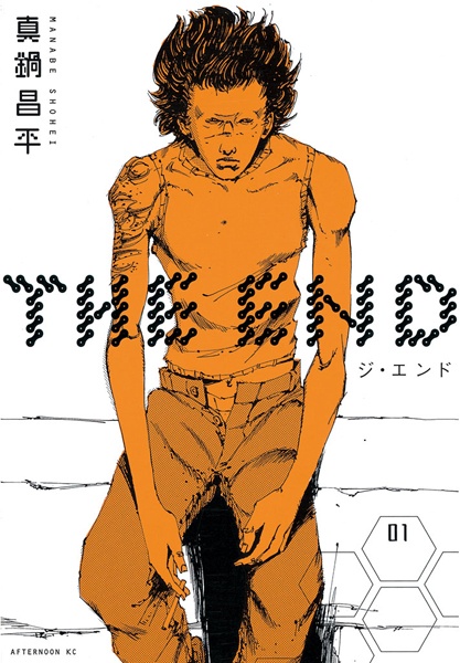 Cover for The End