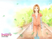 Imagen de Cat Street