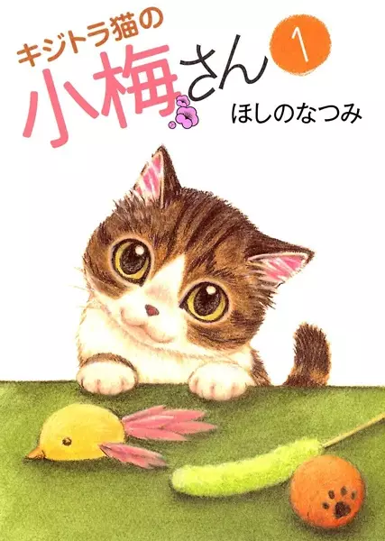 Plum Crazy! Tales of A Tiger-Striped Cat