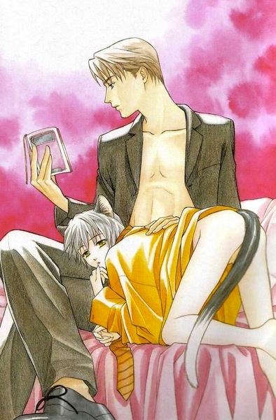 capa de mangá de Fortune Fortune