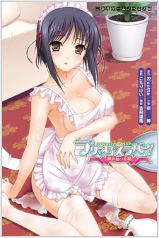 Capa de Princess Lover! Fujikura Yuu no Koiji