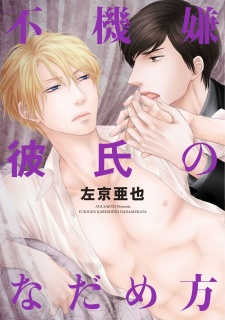Capa de Fukigen Kareshi no Nadamekata