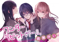 Imagen de Wonder Rabbit Girl