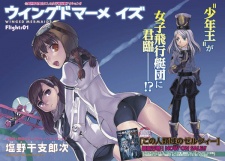 Imagen de Winged Mermaids