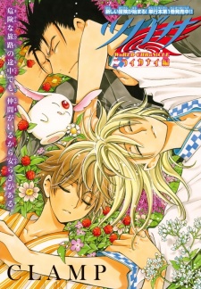 Imagen de Tsubasa: WoRLD CHRoNiCLE - Niraikanai-hen