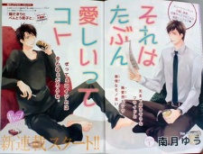 Imagen de Sore wa Tabun Itoshii tte Koto