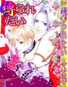 Imagen de Shibararetai