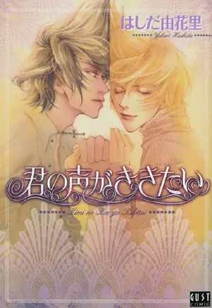 Kimi no Koe ga Kikitai