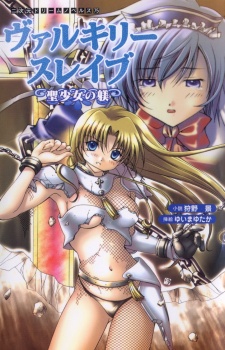 Imagen de Valkyrie Slave: Sei Shoujo no Shitsuke