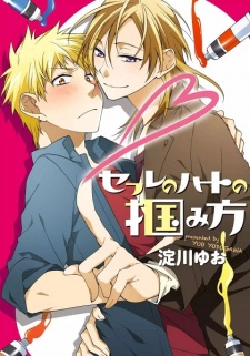Imagen de Sex Friend no Heart no Tsukamikata