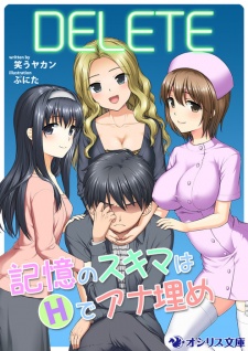 Imagen de Delete: Kioku no Sukima wa H de Anaume