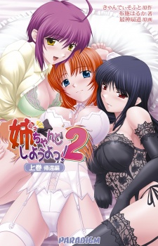 Capa de Nee, Chanto Shiyou Yo! 2