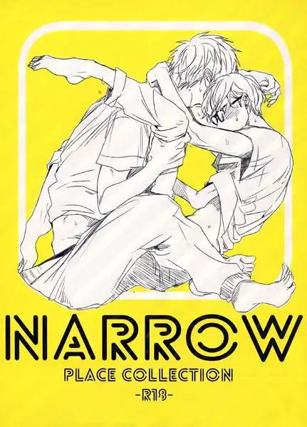 Narrow: Place Collection