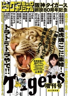Hanshin Tigers Sousetsu 80-shuunen Kinen Zoukangou