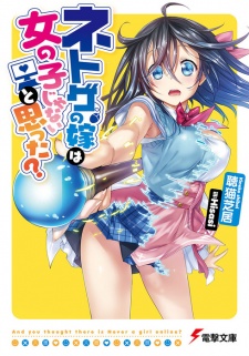 Capa de Netoge no Yome wa Onnanoko ja Nai to Omotta?