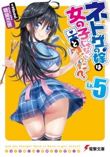 Imagen de Netoge no Yome wa Onnanoko ja Nai to Omotta?