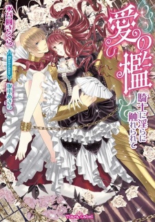 Imagen de Ai no Ori: Kishi ni Midara ni Furerarete