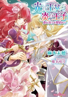 Imagen de Hikari no Oujo to Honoo no Ouji: Koi wa Midara na Keiyaku kara