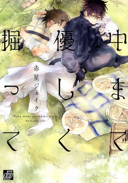 Naka made Yasashiku Hotte cover