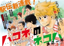 Imagen de Hakone no Nekoha