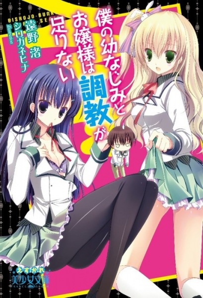 Boku no Osananajimi to Ojousama wa Chuokyou ga Tarinai cover