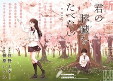 Imagen de Kimi no Suizou wo Tabetai