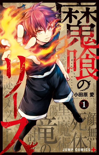 Poster de Rease of Magic Eater