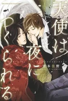 Tenshi wa Yoru ni Tsukurareru