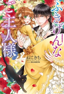 Imagen de Fukigen na Goshujinsama