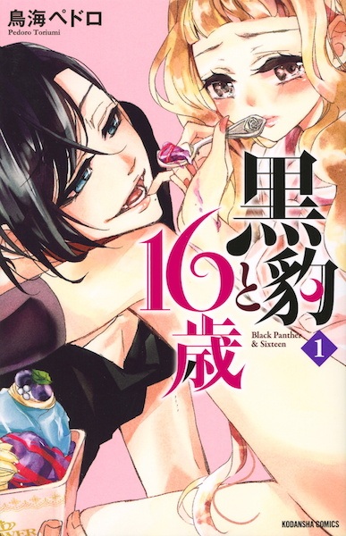 Cover for Kurohyou to 16-sai