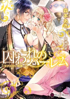 Imagen de Toraware no Harem: Ouji no Amai Jubaku