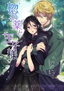 Imagen de Horegusuri to Oujisama