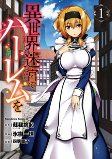 Capa de Isekai Meikyuu de Harem wo