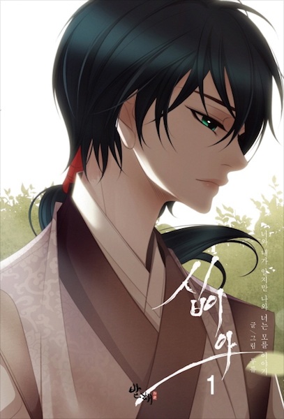 Cover for Twelve Nights