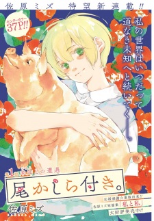 Imagen de Okashiratsuki.