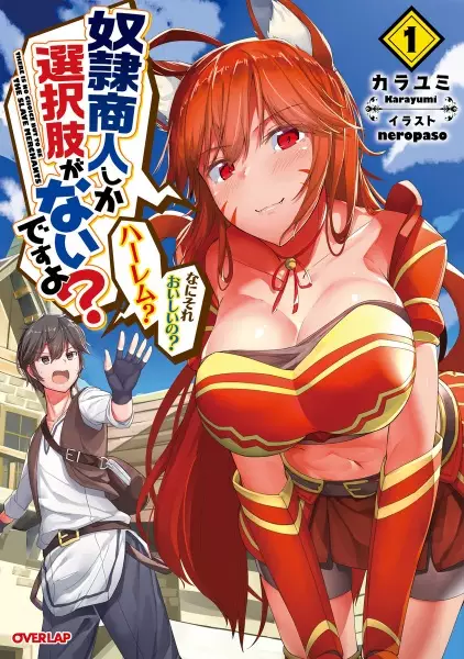 Dorei Shounin shika Sentakushi ga Nai desu yo?: Harem? Nani Sore Oishii no?