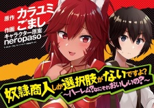 Imagen de Dorei Shounin shika Sentakushi ga Nai desu yo?: Harem? Nani Sore Oishii no?