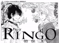 Imagen de Ringo