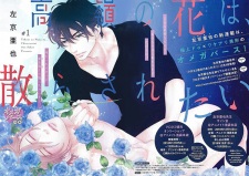 Imagen de Takane no Hana wa, Chirasaretai