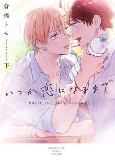 Imagen de Itsuka Koi ni Naru made