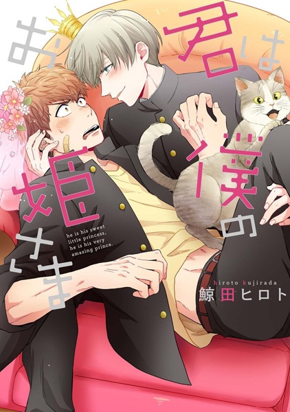 Cover for Kimi wa Boku no Ohimesama