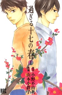 Cover for Sugiru Juunana no Haru